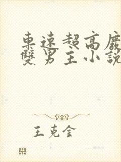 车速超高废文的双男主小说推荐短篇