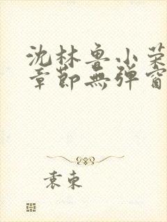 沈林鲁小荣最新章节无弹窗笔趣阁