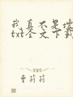 我真不是坏男人txt全文下载