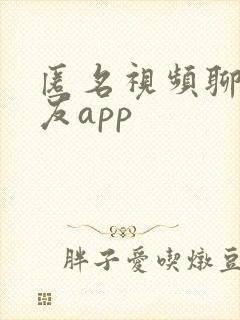 匿名视频聊天交友app