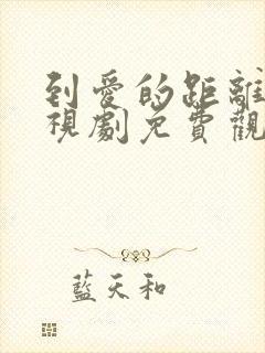 到爱的距离 电视剧免费观看全部