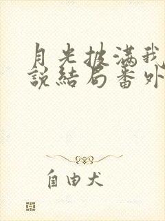 月光披满我身小说结局番外