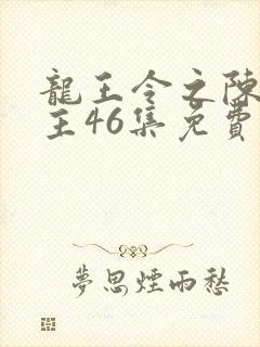 龙王令之陈平殿主46集免费观看