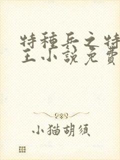 特种兵之特种兵王小说免费阅读