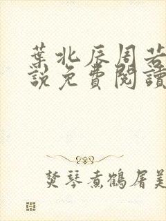 叶北辰周若妤小说免费阅读全文最新