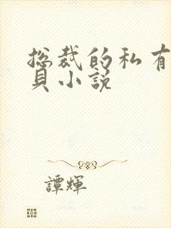 总裁的私有小宝贝小说