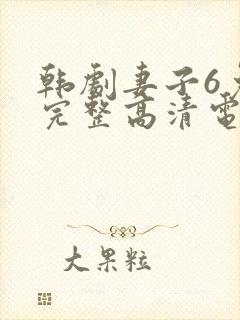 韩剧妻子6免费完整高清电视剧在线看中文