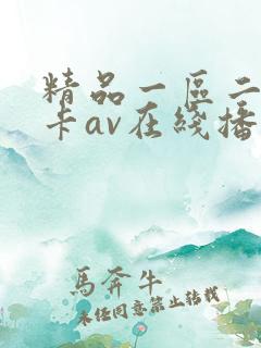 精品一区二区不卡av在线播放