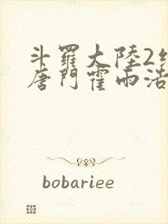 斗罗大陆2绝世唐门霍雨浩的魂灵