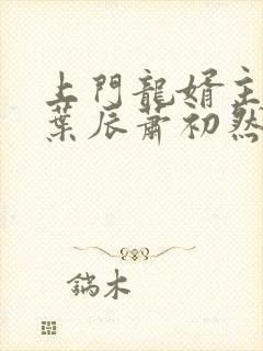 上门龙婿主人公叶辰萧初然