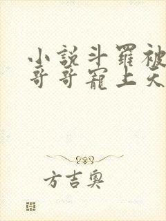 小说斗罗被唐三哥哥宠上天