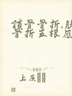 锁骨骨折,肋骨骨折五根应该是几级伤残