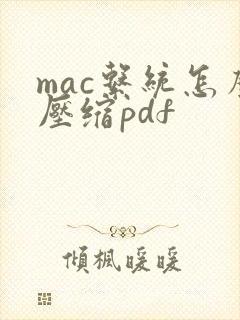 mac系统怎么压缩pdf