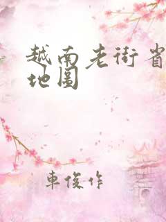 越南老街省详细地图