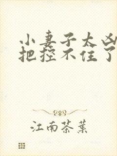 小妻子太凶陆爷把控不住了小说免费阅读全文