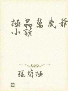 极品万岁爷有声小说