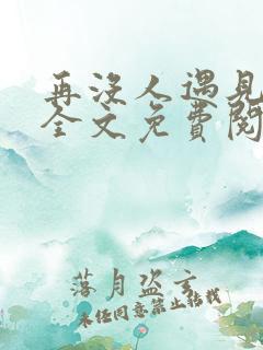 再没人遇见小说全文免费阅读