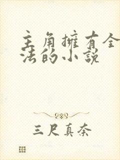 主角拥有全系魔法的小说