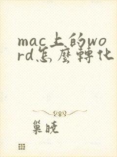 mac上的word怎么转化成pdf