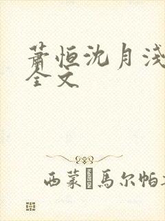 萧恒沈月浅小说全文