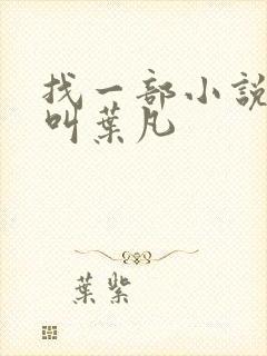 找一部小说主角叫叶凡