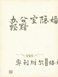 办公室隐婚by轻黯