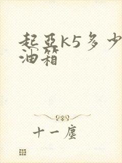 起亚k5多少升油箱