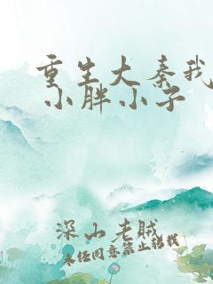 重生大秦我为皇 小胖小子
