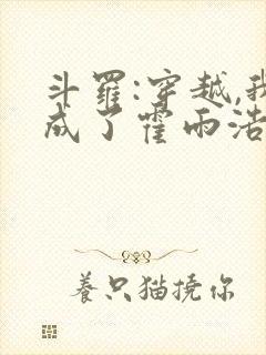 斗罗:穿越,我成了霍雨浩 懒很狠