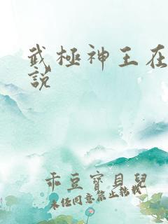 武极神王在线小说