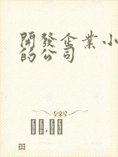 开发企业小程序的公司