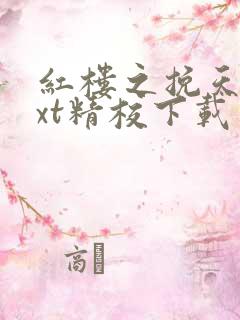 红楼之挽天倾txt精校下载