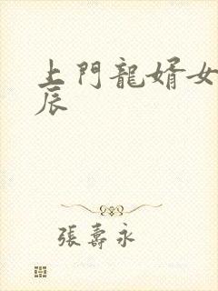 上门龙婿女婿叶辰