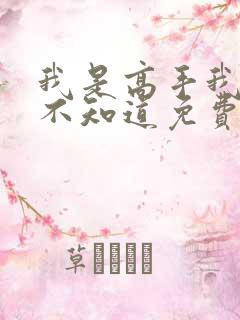 我是高手我怎么不知道免费阅读小说