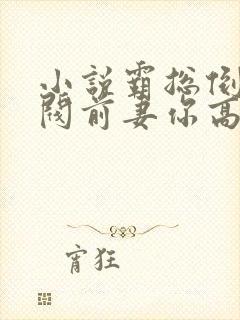 小说霸总倒追财阀前妻你高攀不起大结局