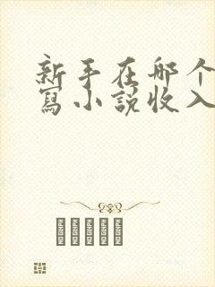 新手在哪个平台写小说收入高