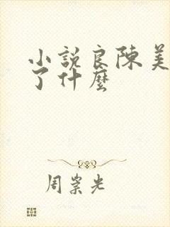 小说良陈美锦讲了什么