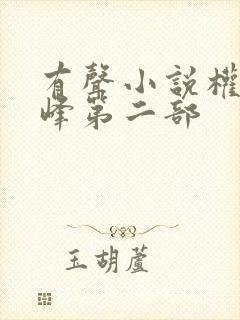 有声小说权力巅峰第二部