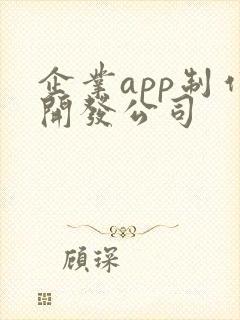 企业app制作开发公司