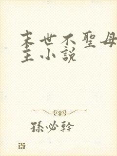 末世不圣母无女主小说