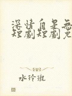 深情自是无情负短剧短剧免费观看