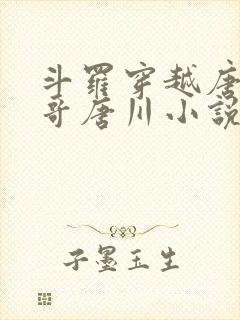 斗罗穿越唐三亲哥唐川小说