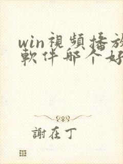 win视频播放软件哪个好