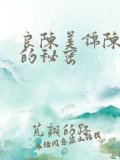 良陈美锦陈玄越的秘密