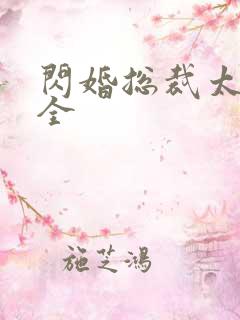 闪婚总裁太霸道全