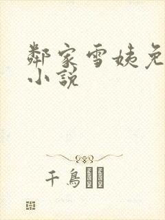 邻家雪姨免费的小说