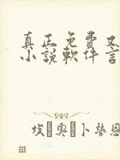 真正免费又全的小说软件言情