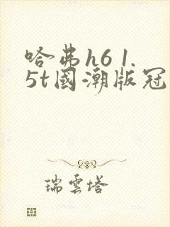 哈弗h6 1.5t国潮版冠军