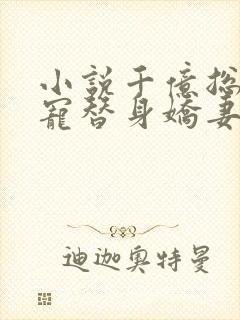 小说千亿总裁独宠替身娇妻在线观看