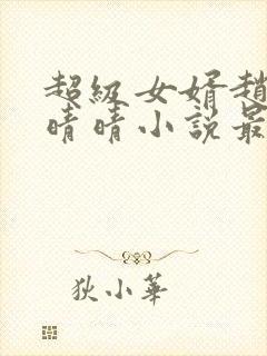 超级女婿赵旭李晴晴小说最新章节